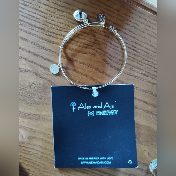 Alex and Ani Energy Bracelet - Picture 2 of 3